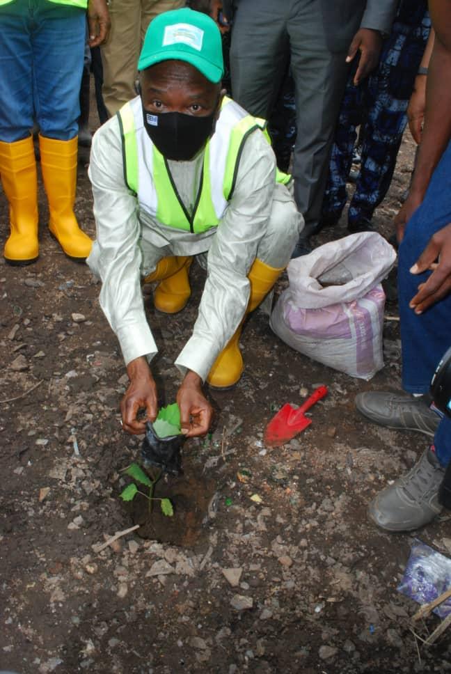 Urban Tree Planting & Greening Programme — Osun State climate initiative photograph showing the project in action