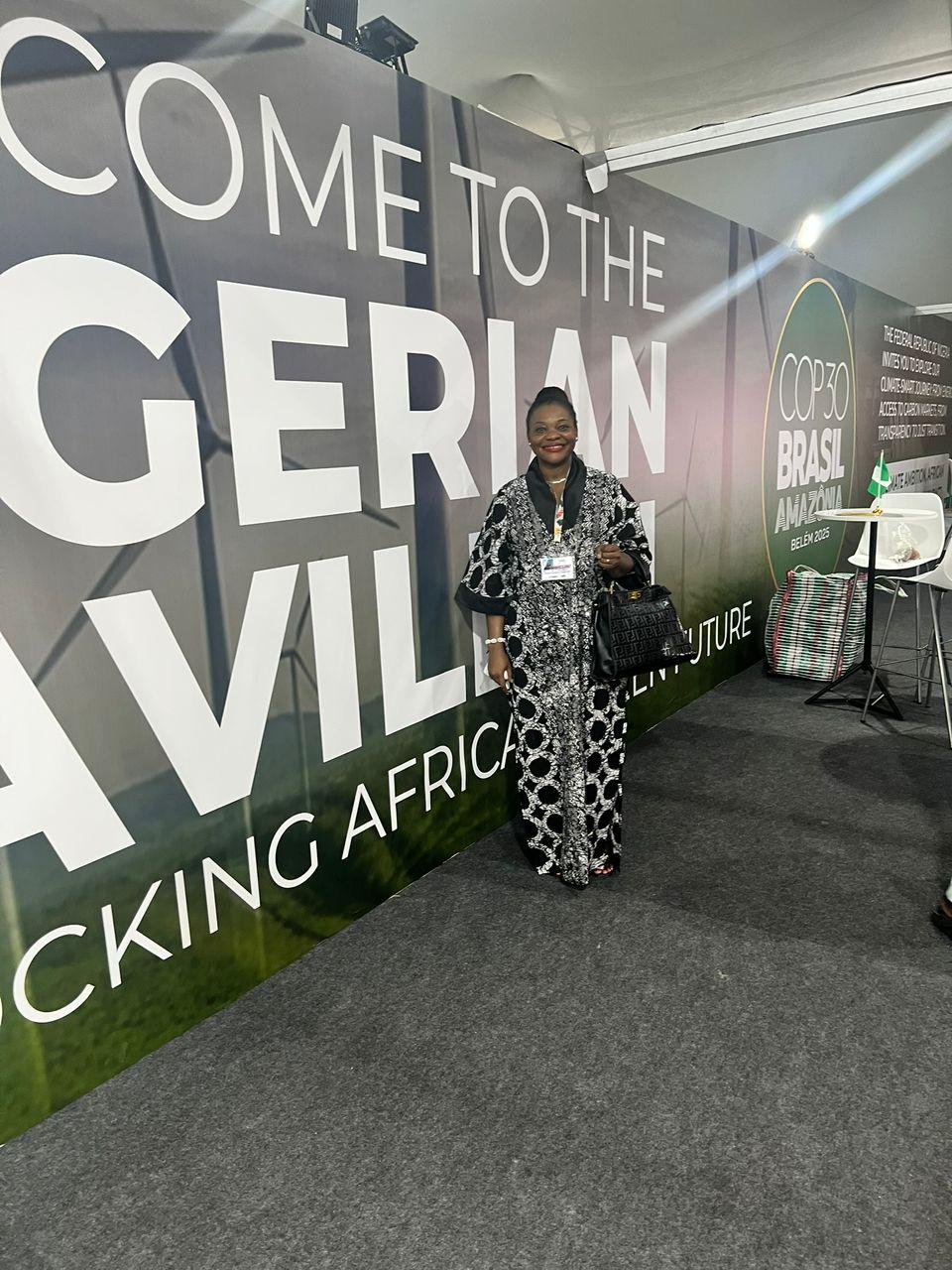 International conference setting representing Osun State's participation at COP29 in Baku, Azerbaijan